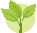 Conservação Da Biodiversidade