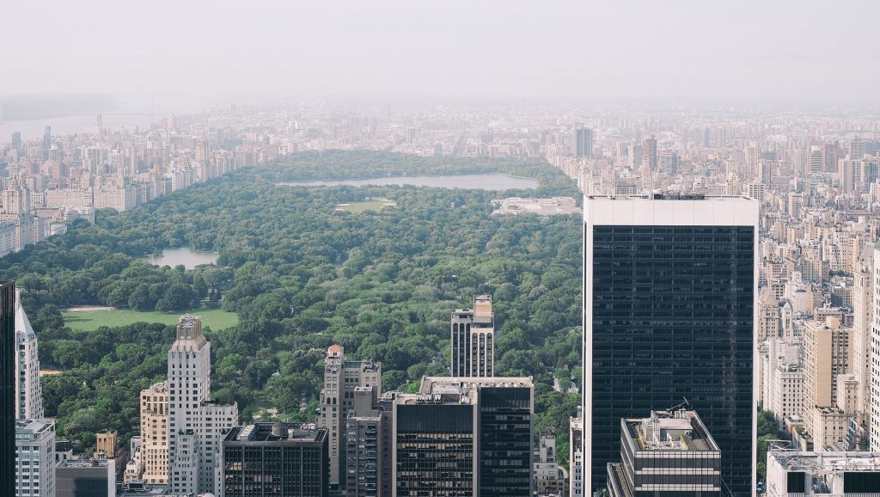Central Park. Central Park.