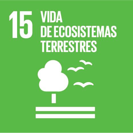 15. Vida de ecosistemas terrestres